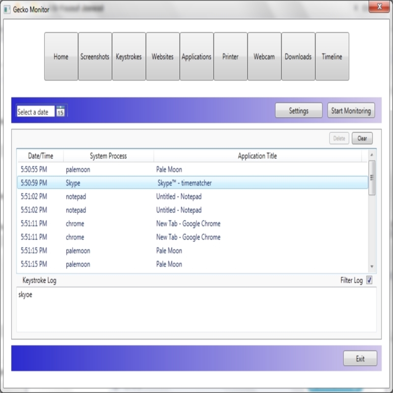 Gecko Keylogger - Custom Windows Desktop Application built with C# and WinForms
